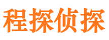 雁塔市私家侦探